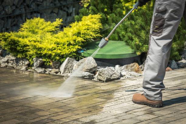 Best Gutter Cleaning  in Franklin, KY